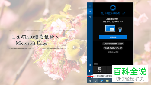 怎么解决win10系统Edge浏览器闪退问题