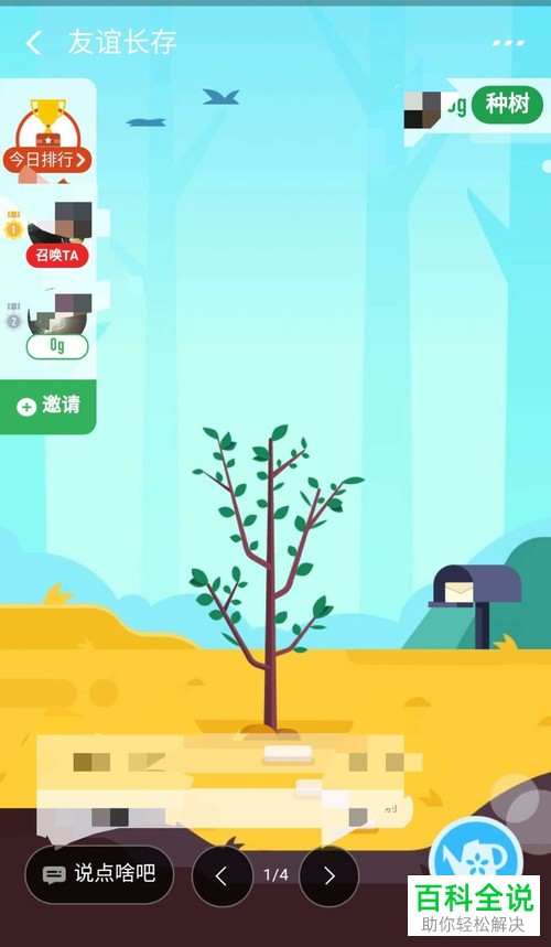 怎么加入支付宝蚂蚁森林好友发起的合种