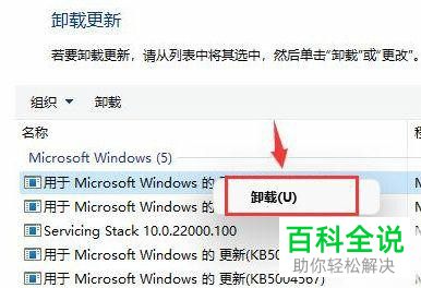怎么解决Windows 11系统更新后自动闪屏问题