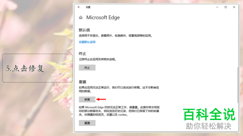 怎么解决win10系统Edge浏览器闪退问题