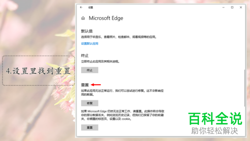 怎么解决win10系统Edge浏览器闪退问题