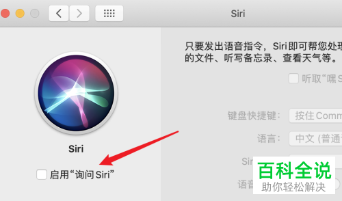 怎么将mac苹果电脑的语音助手siri设置为女声