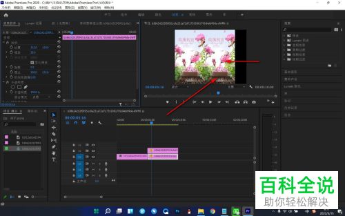 怎么解决Pr导入视频无法完整显示问题