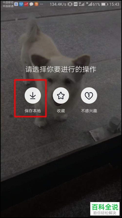 怎么将抖音视频保存到手机相册