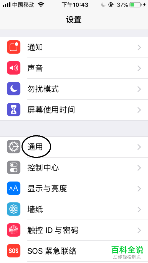 怎么将iPhone手机缩放区域设置为全屏幕