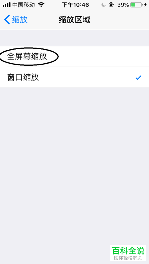 怎么将iPhone手机缩放区域设置为全屏幕