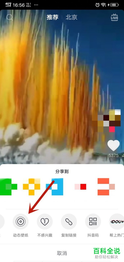 怎么将抖音视频设为手机桌面壁纸