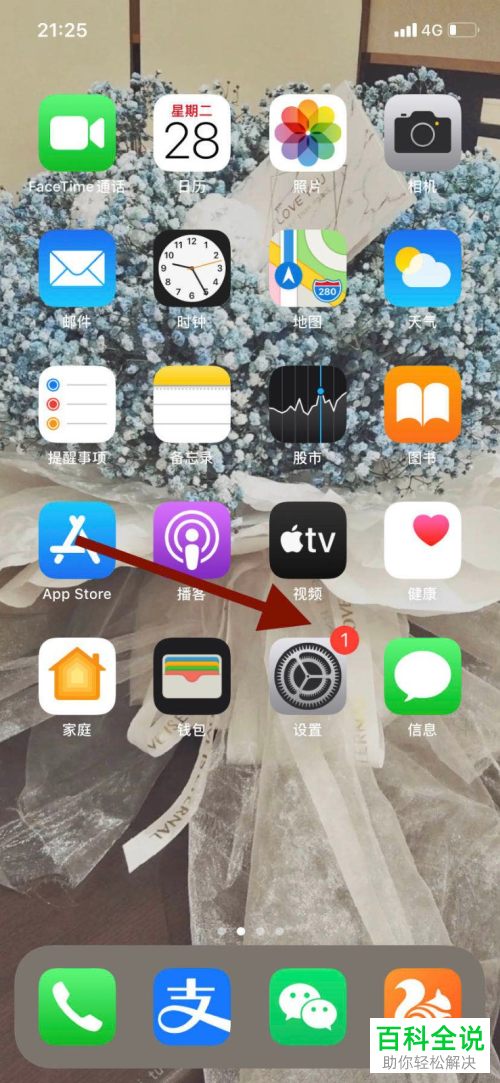 怎么将苹果手机iPhone11中的拨号助理功能打开