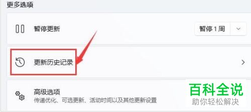 怎么解决Windows 11系统更新后自动闪屏问题