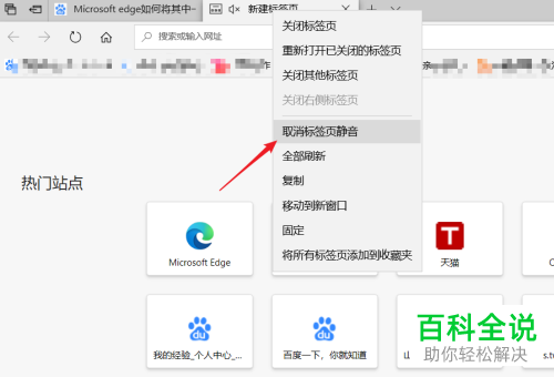 怎么将Microsoft edge中的某个网页设置静音