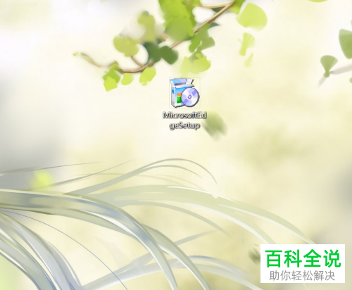 怎么将Edge浏览器升级至最新版本