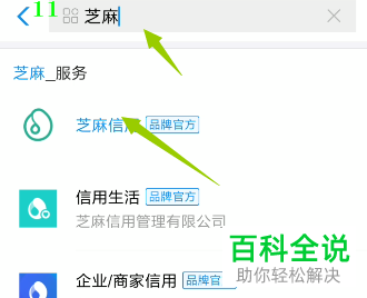 芝麻积分如何查看？