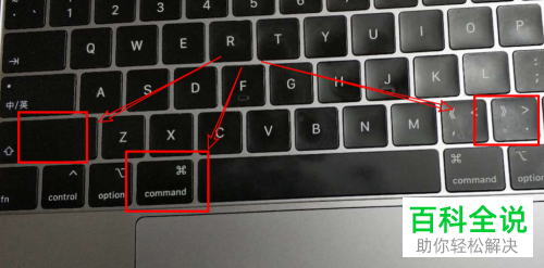 怎么将mac苹果电脑中的文件隐藏并查看隐藏的文件