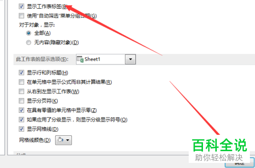 怎么开启Execl2013的显示工作表标签功能