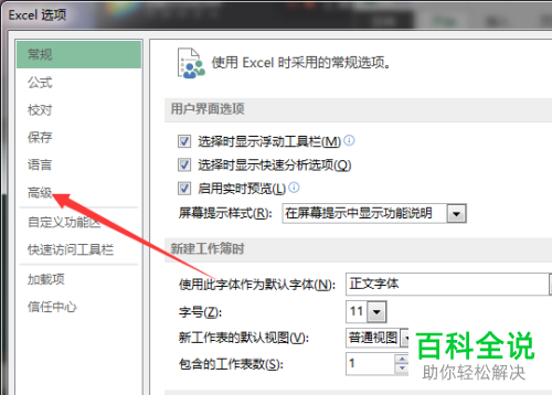 怎么开启Execl2013的显示工作表标签功能