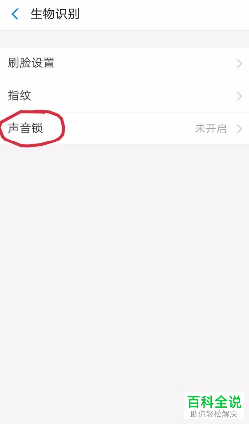 怎么开启手机支付宝app中的声音锁