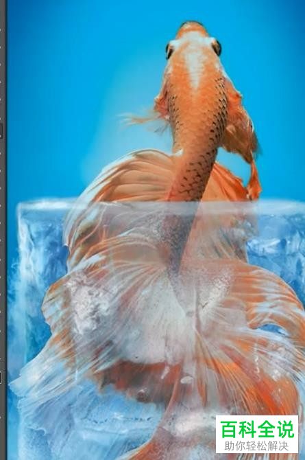 怎么利用PS将一张图片放在另一张图片中