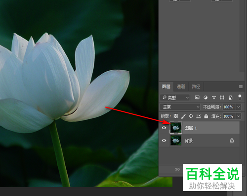 怎么利用ps软件来提升图片的亮度