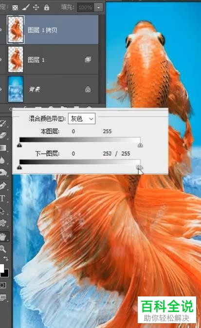 怎么利用PS将一张图片放在另一张图片中