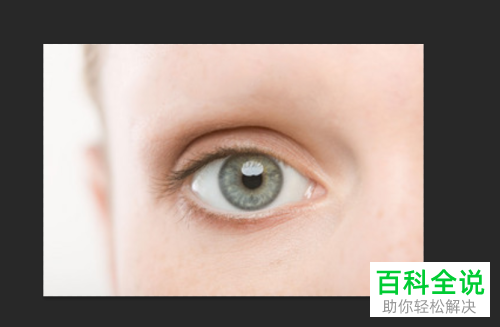 怎么利用PS Photoshop软件给图片中的人物画眉毛