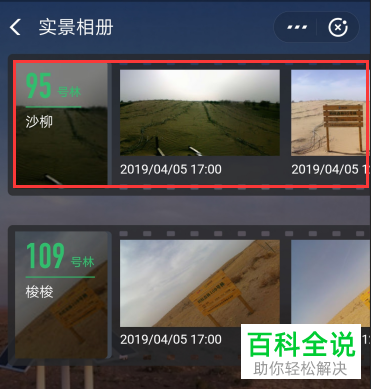怎么利用支付宝中的蚂蚁森林电子稻草人功能对林地实景进行查看
