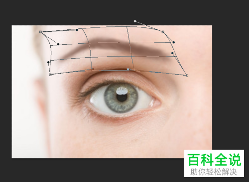 怎么利用PS Photoshop软件给图片中的人物画眉毛