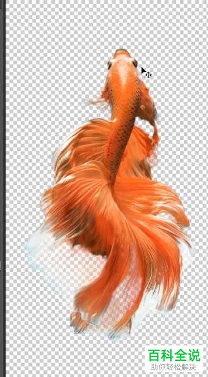 怎么利用PS将一张图片放在另一张图片中