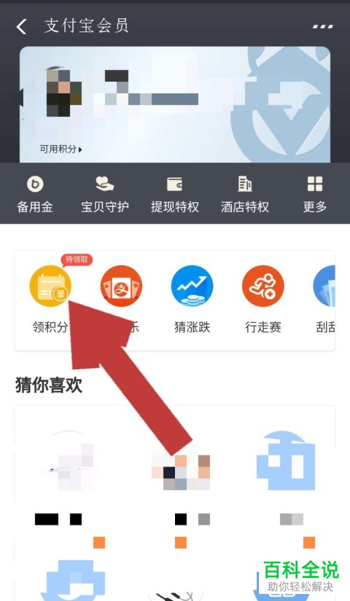 怎么领取支付宝会员积分？
