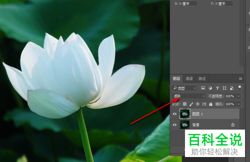 怎么利用ps软件来提升图片的亮度