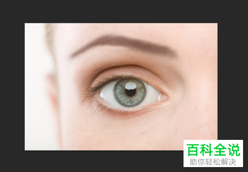 怎么利用PS Photoshop软件给图片中的人物画眉毛