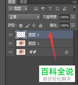 怎么利用PS Photoshop软件给图片中的人物画眉毛