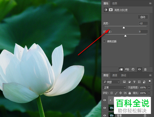 怎么利用ps软件来提升图片的亮度