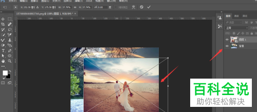 怎么利用PS软件把两张图片融合在一起