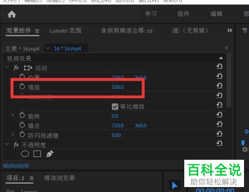 怎么利用pr软件来调整视频的大小