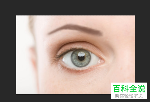 怎么利用PS Photoshop软件给图片中的人物画眉毛