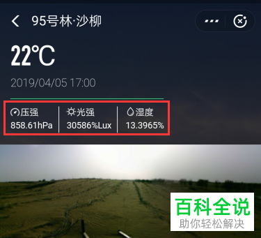 怎么利用支付宝中的蚂蚁森林电子稻草人功能对林地实景进行查看