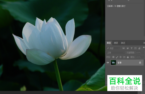 怎么利用ps软件来提升图片的亮度