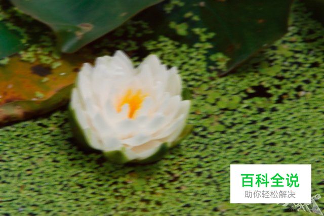 怎么拍出不模糊的照片呢？