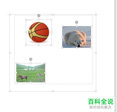 怎么批量调整Word文档中的图片大小