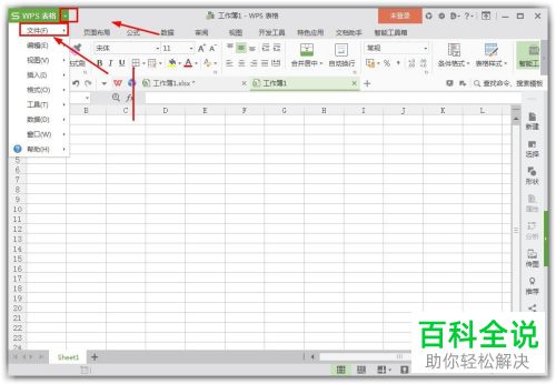 怎么批量删除wps表格最近打开的文档记录