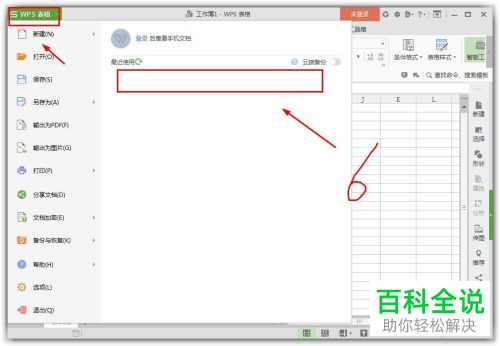 怎么批量删除wps表格最近打开的文档记录