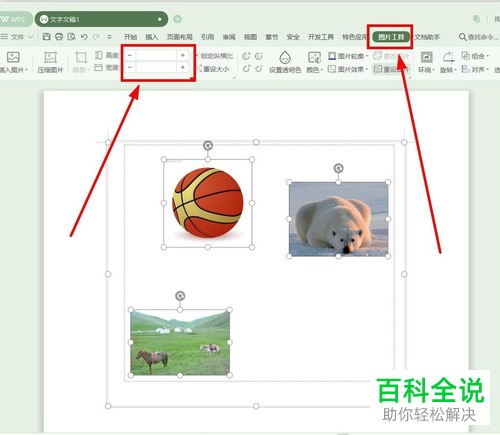 怎么批量调整Word文档中的图片大小