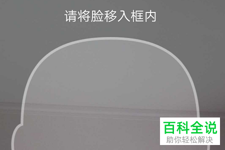 怎么启用手机版百度网盘app中的二级刷脸登录功能？