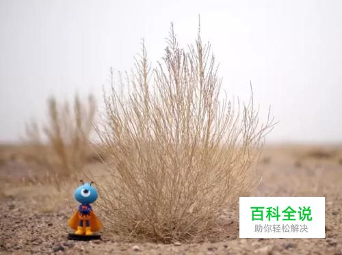 怎么让蚂蚁森林只显示“绿色能量”。