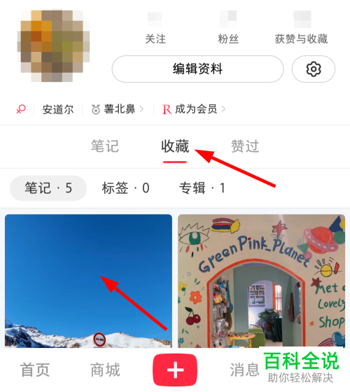怎么取消小红书收藏的笔记
