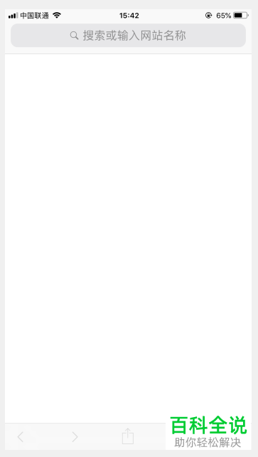怎么清理iPhone苹果手机中自带safari浏览器的缓存记录