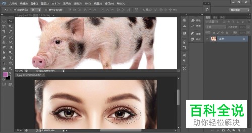 怎么使用PS中的羽化功能