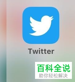 怎么设置推特上加载的图片仅从无线网上下载