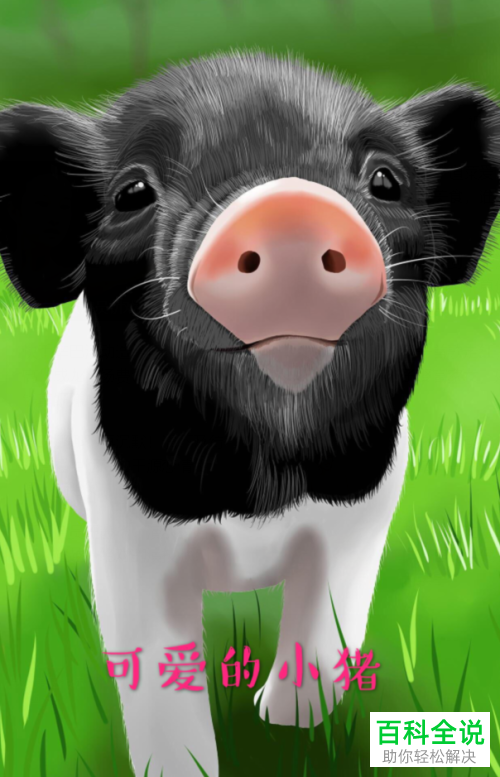 怎么使用手机美图秀秀app来为图片添加文字