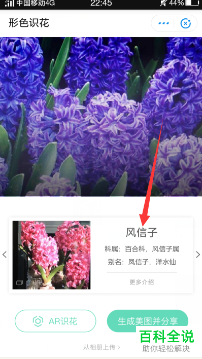 怎么使用手机支付宝中的扫一扫功能识别花名